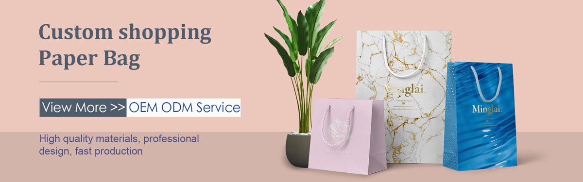 paper shopping bag.jpg paper shopping bag.jpg